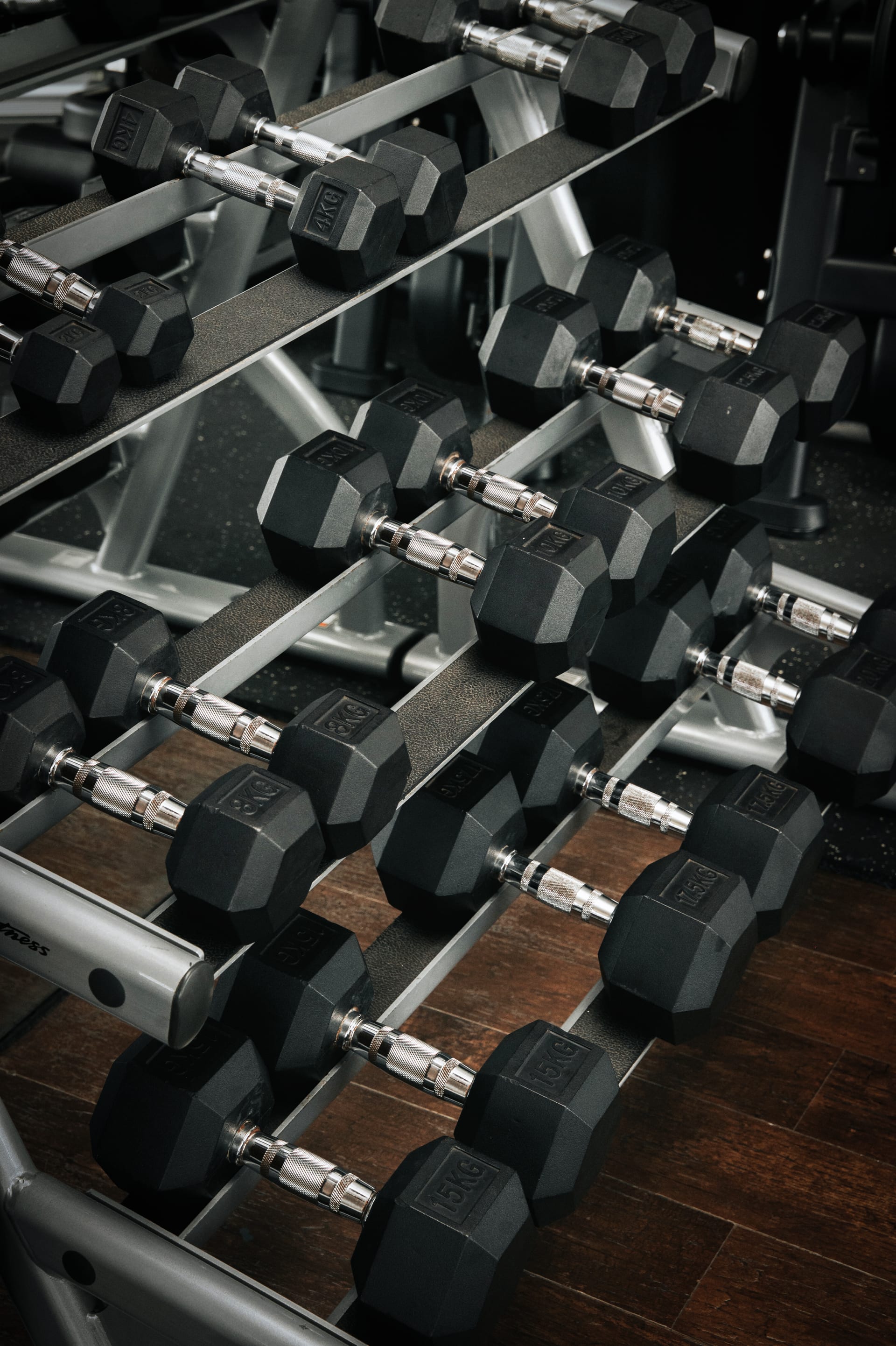 Rack of rubber hex dumbbells lined up in the gym