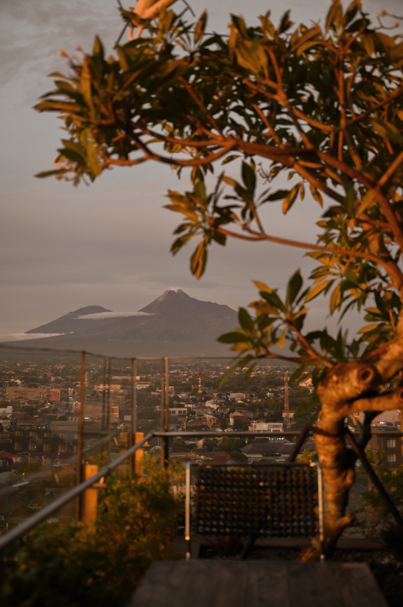 Mount Merapi at sunrise framed by a frangipani tree from the 18+ Music Bar rooftop